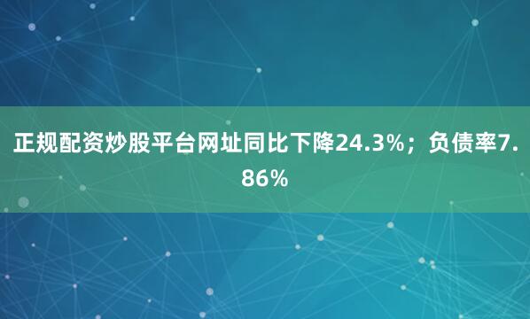 正规配资炒股平台网址同比下降24.3%；负债率7.86%