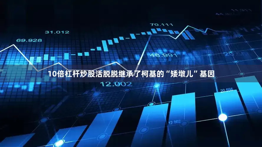10倍杠杆炒股活脱脱继承了柯基的“矮墩儿”基因