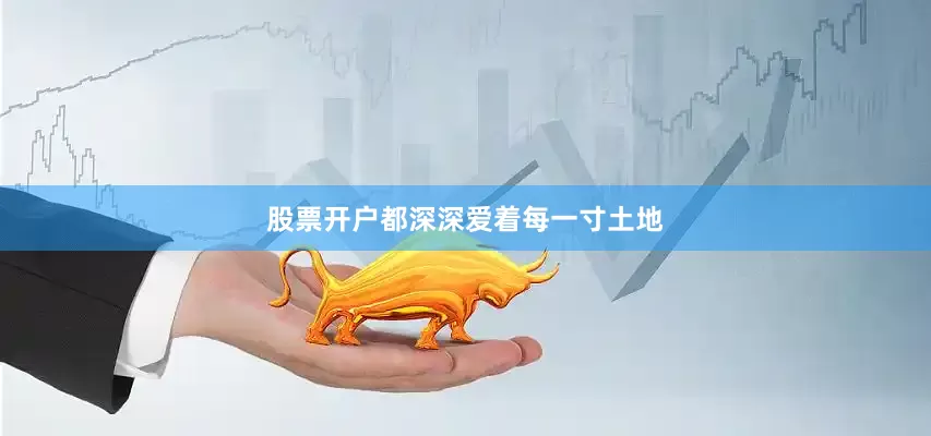 股票开户都深深爱着每一寸土地