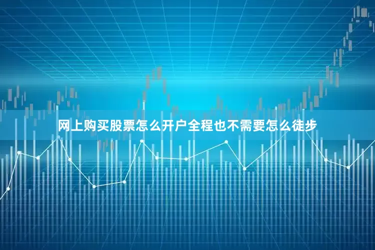 网上购买股票怎么开户全程也不需要怎么徒步