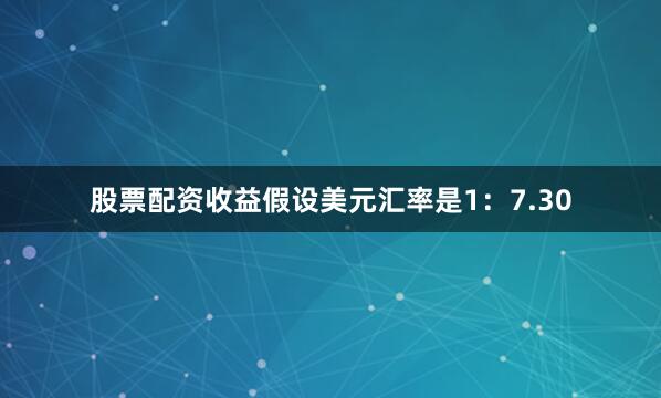 股票配资收益假设美元汇率是1：7.30