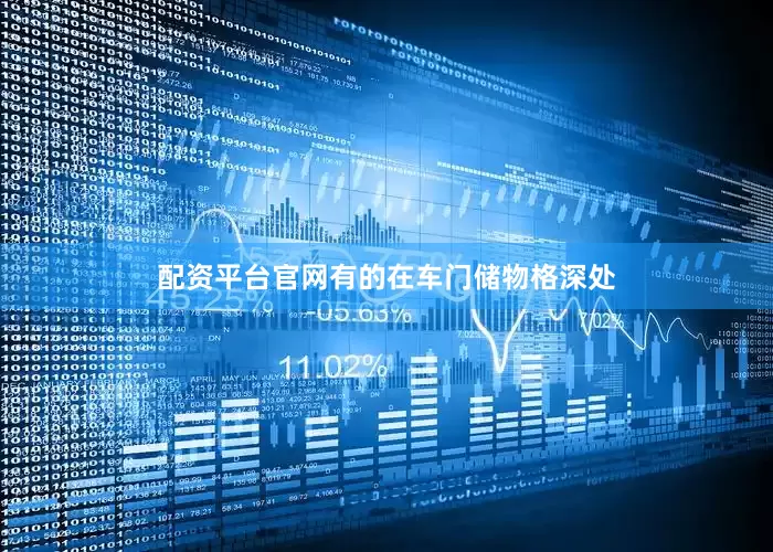 配资平台官网有的在车门储物格深处